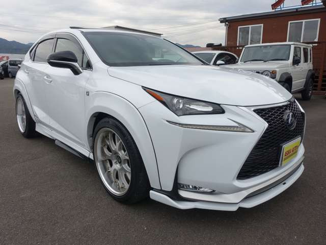 NX300h Fスポーツ