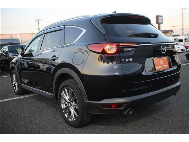 ���Ǝҗl�ւ̔̔��͂��f�肳���Ă��������܂��B �Ԍ������ԗ��̏ꍇ�́A�Ԍ����擾�������x�������z�ŕ\�����Ă���܂��B