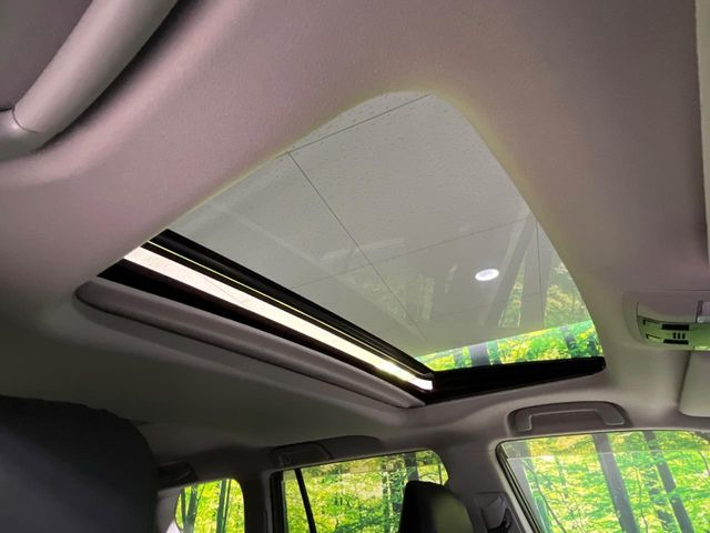 �y�T�����[�t�z�J���������Ղ�̊󏭑����A�T�����[�t����������Ă��܂�!�ԓ��ɖ�����������ꂽ��i�F���y���ވȊO�ɂ��A�ԓ��̋�C���ȒP�Ɋ��C�ł��ĉ��K�ł�!