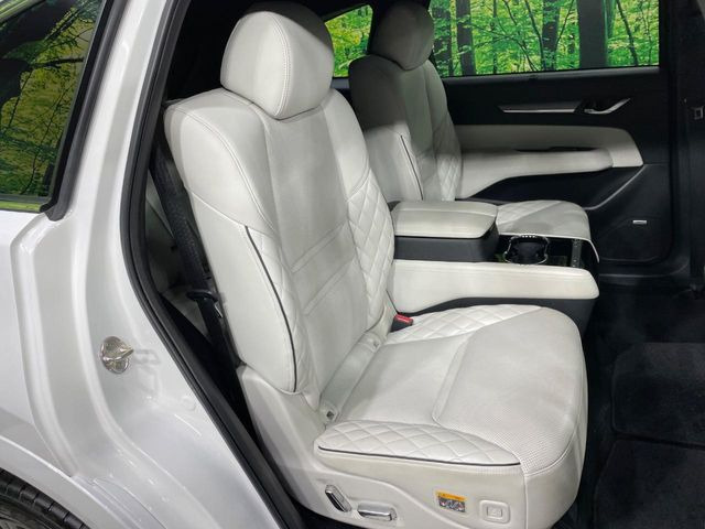 �㕔���Ȃ��C�ɂȂ�悤�ȃL�Y�E�����ւ��蓙�A�傫�ȃ_���[�W�͂Ȃ��A�ǍD�ȏ�Ԃł��B