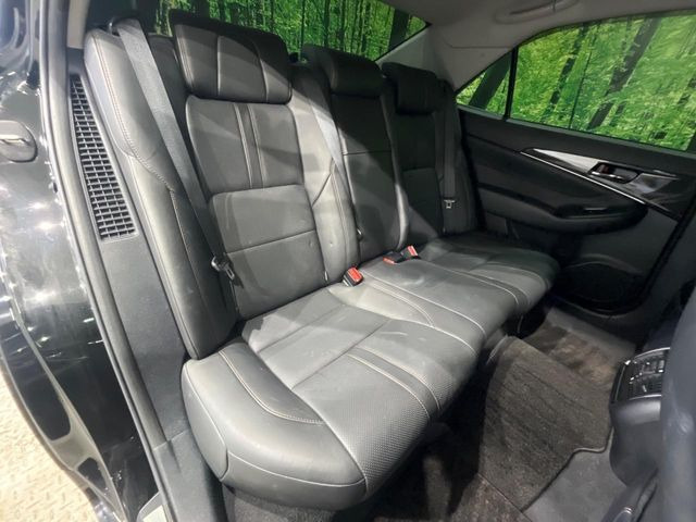 �㕔���Ȃ��C�ɂȂ�悤�ȃL�Y�E�����ւ��蓙�A�傫�ȃ_���[�W�͂Ȃ��A�ǍD�ȏ�Ԃł��B