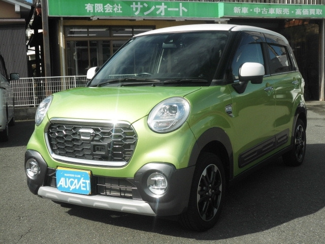 キャストアクティバ G SAII