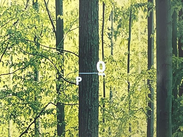 �y�J���[�w�b�h�A�b�v�f�B�X�v���C�z���݂̑��x�⑖�s�����f�W�^���\���ŉ^�]�ȑO���̃K���X�ɓ��e!�J���[�t���Ŏ��F���������A�^�]���ڐ������炳���K�v�ȏ����m�F�ł���̂łƂ��Ă��֗��ň��S!