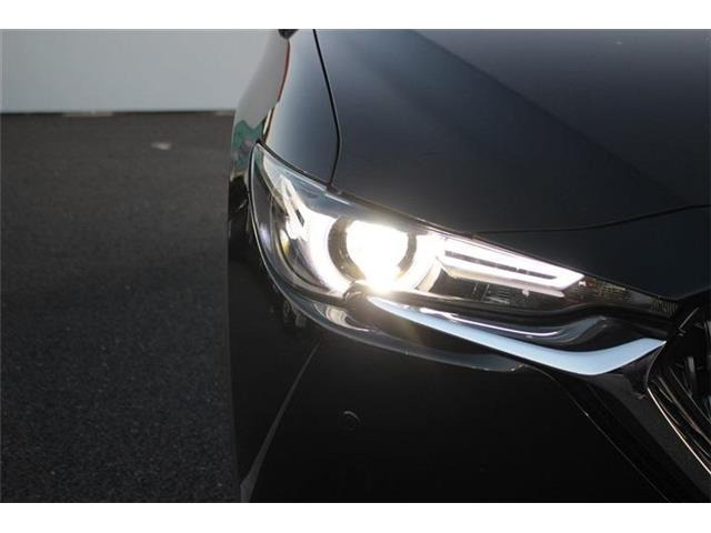 ���Ǝҗl�ւ̔̔��͂��f�肳���Ă��������܂��B �Ԍ������ԗ��̏ꍇ�́A�Ԍ����擾�������x�������z�ŕ\�����Ă���܂��B