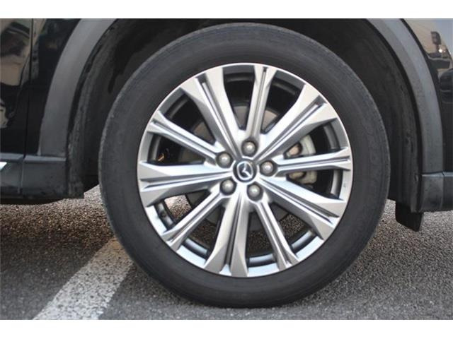 ���Ǝҗl�ւ̔̔��͂��f�肳���Ă��������܂��B �Ԍ������ԗ��̏ꍇ�́A�Ԍ����擾�������x�������z�ŕ\�����Ă���܂��B