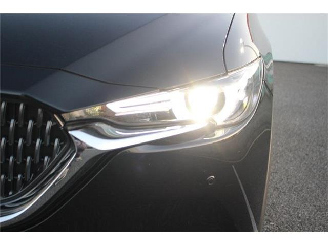 ���Ǝҗl�ւ̔̔��͂��f�肳���Ă��������܂��B �Ԍ������ԗ��̏ꍇ�́A�Ԍ����擾�������x�������z�ŕ\�����Ă���܂��B