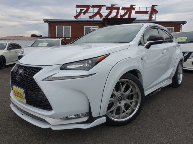 NX300h Fスポーツ