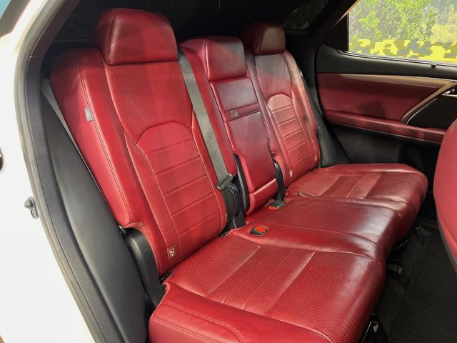 �㕔���Ȃ��C�ɂȂ�悤�ȃL�Y�E�����ւ��蓙�A�傫�ȃ_���[�W�͂Ȃ��A�ǍD�ȏ�Ԃł��B