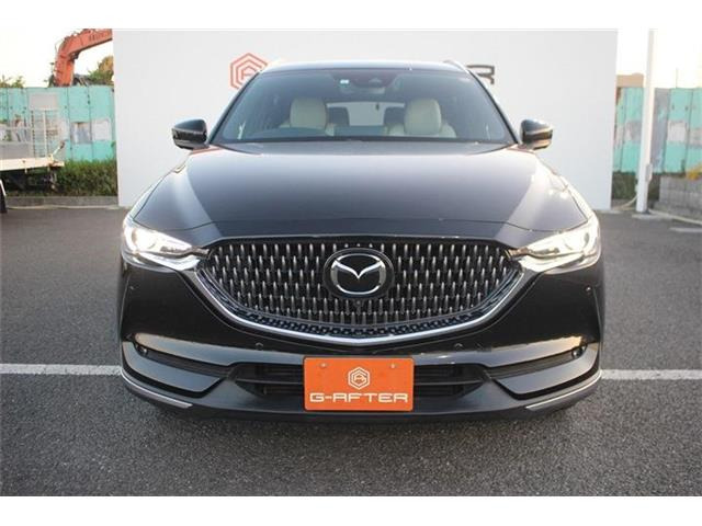 ���Ǝҗl�ւ̔̔��͂��f�肳���Ă��������܂��B �Ԍ������ԗ��̏ꍇ�́A�Ԍ����擾�������x�������z�ŕ\�����Ă���܂��B