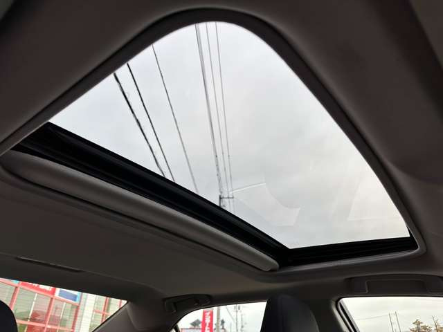 �T�����[�t���Ă܂�!