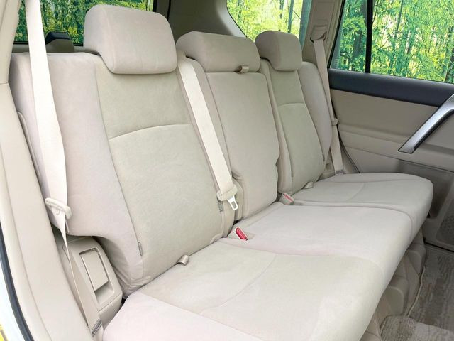 �㕔���Ȃ��C�ɂȂ�悤�ȃL�Y�E�����ւ��蓙�A�傫�ȃ_���[�W�͂Ȃ��A�ǍD�ȏ�Ԃł��B