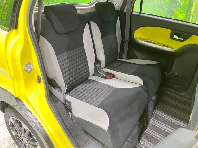 �㕔���Ȃ��C�ɂȂ�悤�ȃL�Y�E�����ւ��蓙�A�傫�ȃ_���[�W�͂Ȃ��A�ǍD�ȏ�Ԃł��B