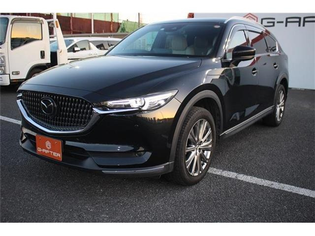 ���Ǝҗl�ւ̔̔��͂��f�肳���Ă��������܂��B �Ԍ������ԗ��̏ꍇ�́A�Ԍ����擾�������x�������z�ŕ\�����Ă���܂��B