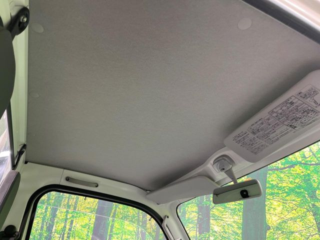 �㕔���Ȃ��C�ɂȂ�悤�ȃL�Y�E�����ւ��蓙�A�傫�ȃ_���[�W�͂Ȃ��A�ǍD�ȏ�Ԃł��B