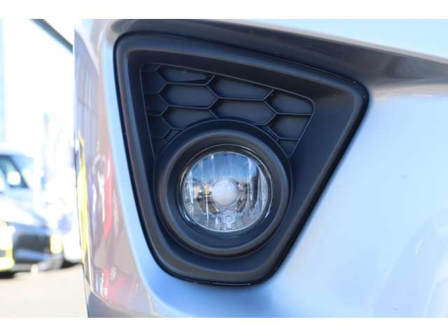 �t�H�O�����v�������c