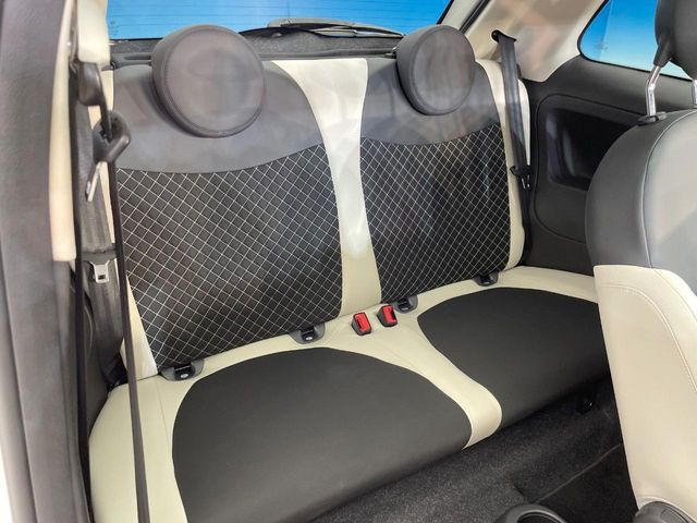 ���㕔���Ȃ��C�ɂȂ�悤�ȃL�Y�E�����ւ��蓙�A�傫�ȃ_���[�W�͂Ȃ��A�ǍD�ȏ�Ԃł��B