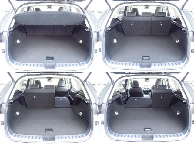 �㕔���Ȕw������͕������Ă���̂ŁA�ʁX�ɓ|�������\�ł���ו��̗ʂɉ����ăA�����W�o����̂ŁA�������ł���!