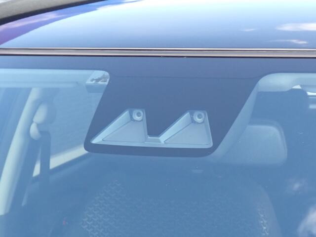 �^�]�Ȃ��傫�ȎC����Ȃ���ԗǍD�ł��B