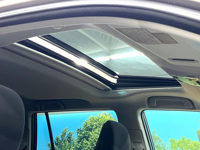 �y�T�����[�t�z�J���������Ղ�̊󏭑����A�T�����[�t����������Ă��܂�!�ԓ��ɖ�����������ꂽ��i�F���y���ވȊO�ɂ��A�ԓ��̋�C���ȒP�Ɋ��C�ł��ĉ��K�ł�!