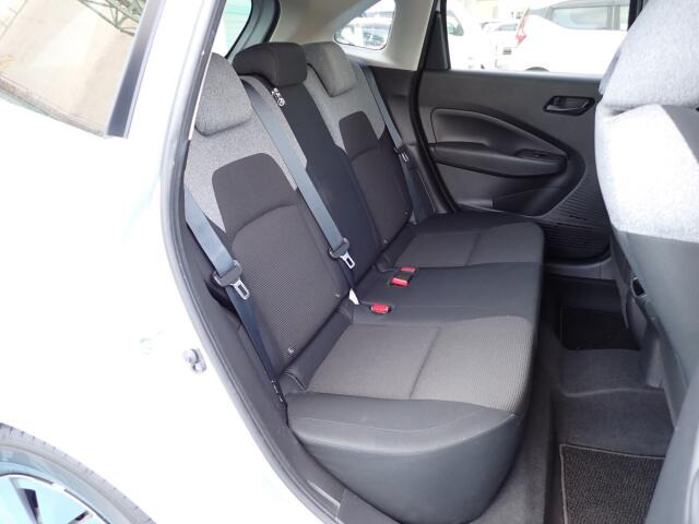 �㕔���Ȃ��傫�ȎC����Ȃ���ԗǍD�ł��B