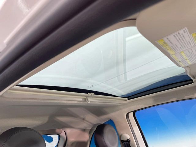 ���p�m���}�~�b�N�K���X���[�t:�唗�͂̃p�m���}���[�t�́A�㕔���Ȃɂ܂ő����Ă���A�J���I�ȋ�Ԃ����y���݂��������܂��B