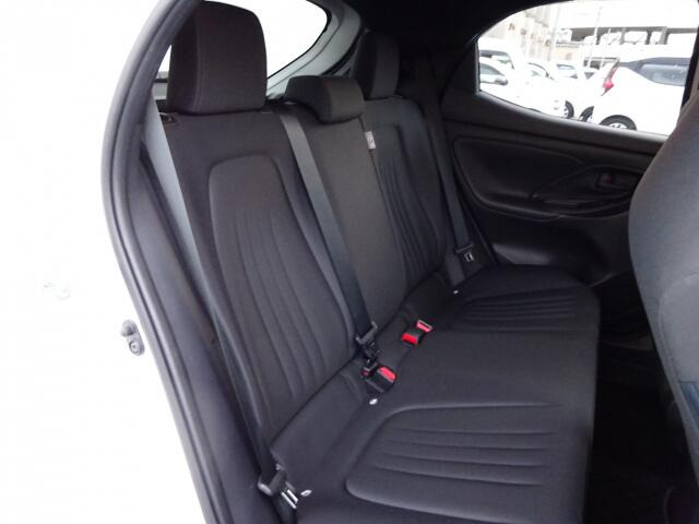 �㕔���Ȃ��傫�ȎC����Ȃ���ԗǍD�ł��B