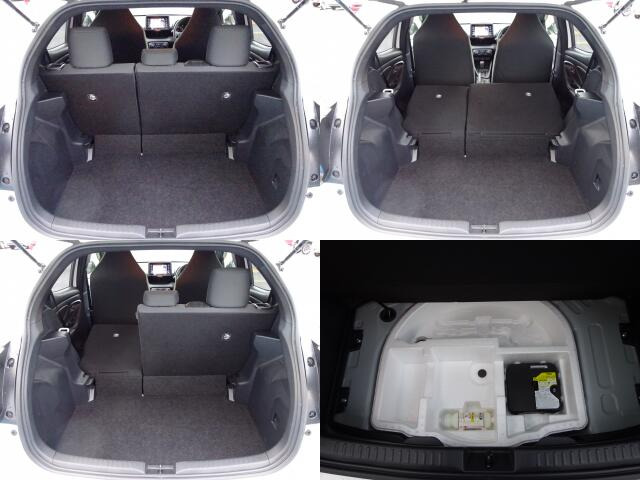 �㕔���Ȕw������͕������Ă���̂ŁA�ʁX�ɓ|�������\�ł���ו��̗ʂɉ����ăA�����W�o����̂ŁA�������ł���!