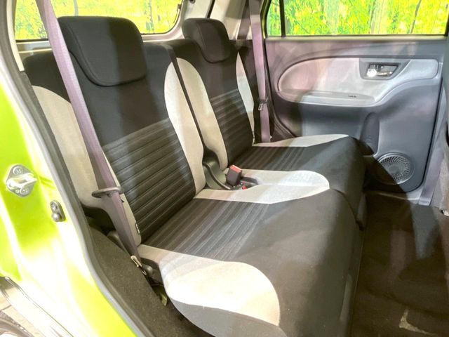 �㕔���Ȃ��C�ɂȂ�悤�ȃL�Y�E�����ւ��蓙�A�傫�ȃ_���[�W�͂Ȃ��A�ǍD�ȏ�Ԃł��B