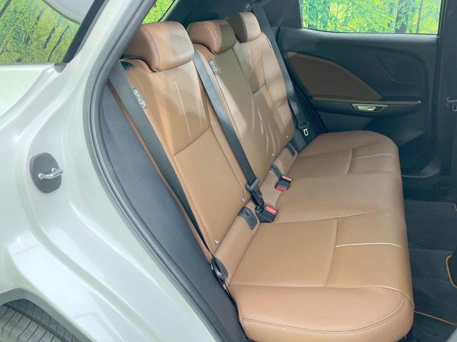 �㕔���Ȃ��C�ɂȂ�悤�ȃL�Y�E�����ւ��蓙�A�傫�ȃ_���[�W�͂Ȃ��A�ǍD�ȏ�Ԃł��B