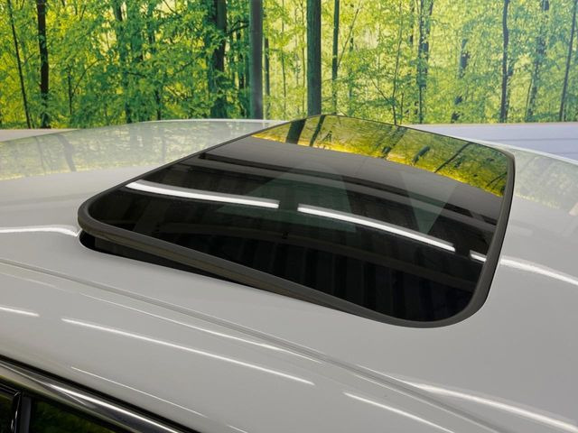 �y���[�����[�t�z�J���������Ղ�̊󏭑����A���[�����[�t����������Ă��܂�!�ԓ��ɖ�����������ꂽ��i�F���y���ވȊO�ɂ��A�ԓ��̋�C���ȒP�Ɋ��C�ł��ĉ��K�ł�!