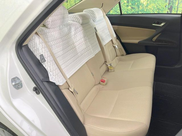 �㕔���Ȃ��C�ɂȂ�悤�ȃL�Y�E�����ւ��蓙�A�傫�ȃ_���[�W�͂Ȃ��A�ǍD�ȏ�Ԃł��B