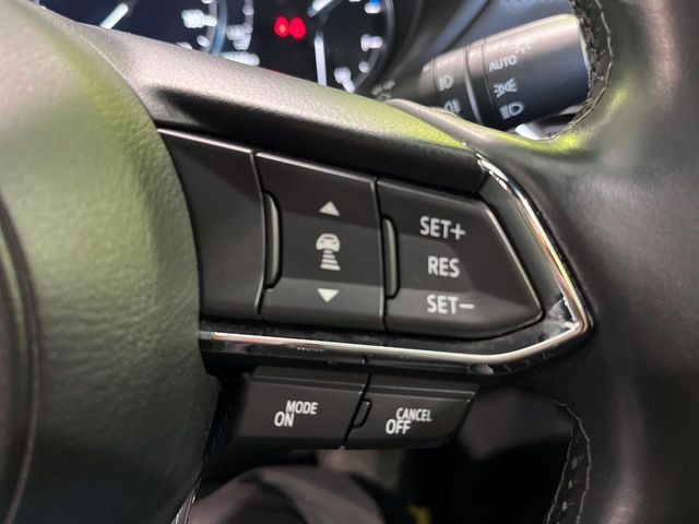 �y�}�c�_�E���[�_�[�N���[�Y�R���g���[���z�������H�ł̒��������s���y��!�����ő��x��ۂN���[�Y�R���g���[�����A�Փˌy���V�X�e���ƘA�g���A�O���̎ԗ������m���ĎԊԂ�ۂ悤�ɑ��x���߂��Ă���܂�!!