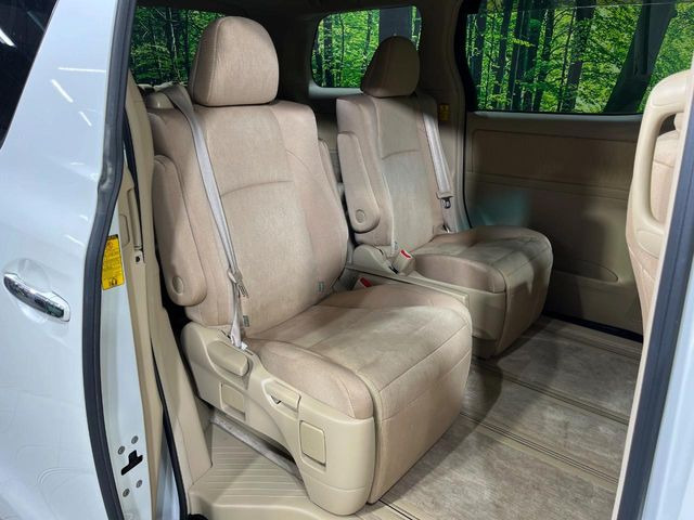 �㕔���Ȃ��C�ɂȂ�悤�ȃL�Y�E�����ւ��蓙�A�傫�ȃ_���[�W�͂Ȃ��A�ǍD�ȏ�Ԃł��B