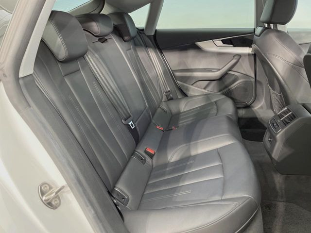 ���㕔���Ȃ��C�ɂȂ�悤�ȃL�Y�E�����ւ��蓙�A�傫�ȃ_���[�W�͂Ȃ��A�ǍD�ȏ�Ԃł��B