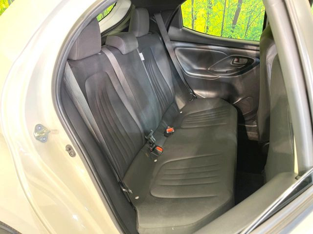 �㕔���Ȃ��C�ɂȂ�悤�ȃL�Y�E�����ւ��蓙�A�傫�ȃ_���[�W�͂Ȃ��A�ǍD�ȏ�Ԃł��B