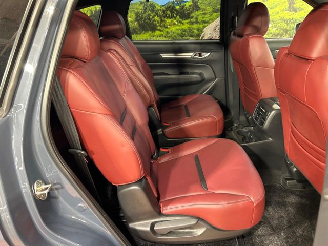 �㕔���Ȃ��C�ɂȂ�悤�ȃL�Y�E�����ւ��蓙�A�傫�ȃ_���[�W�͂Ȃ��A�ǍD�ȏ�Ԃł��B