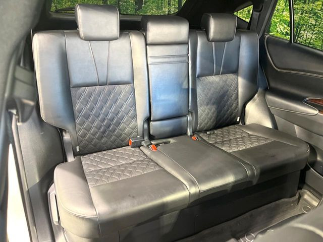 �㕔���Ȃ��C�ɂȂ�悤�ȃL�Y�E�����ւ��蓙�A�傫�ȃ_���[�W�͂Ȃ��A�ǍD�ȏ�Ԃł��B