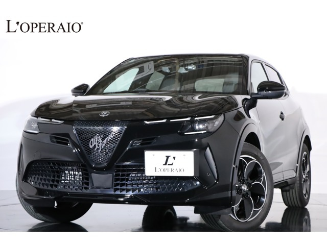 �W���j�A�i�A���t�@�����I�j�C�u���_ �v���~�A���@���s��600km �V�[�g�q�[�^�[ 10..25�C���` ���Îԉ摜