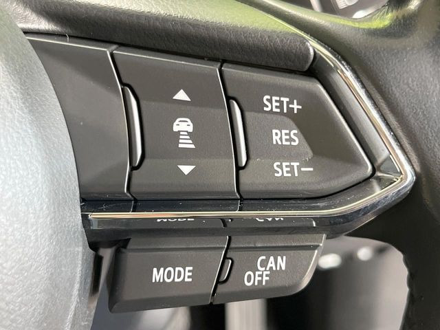 �y�}�c�_�E���[�_�[�N���[�Y�R���g���[���z�������H�ł̒��������s���y��!�����ő��x��ۂN���[�Y�R���g���[�����A�Փˌy���V�X�e���ƘA�g���A�O���̎ԗ������m���ĎԊԂ�ۂ悤�ɑ��x���߂��Ă���܂�!!