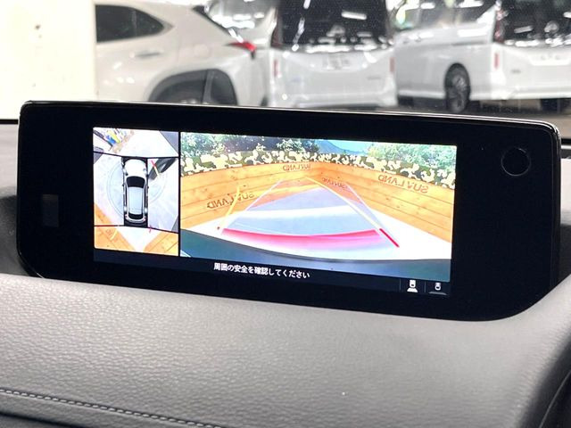 �y360&deg;�r���[���j�^�[�z��p�̃J�����ɂ��A�ォ�猩���낵���悤�Ȏ��_��360�x�N���}�̎��͂��m�F���邱�Ƃ��ł��܂������p�������m�F���₷���A�����ꏊ�ł̐؂�Ԃ��⒓�Ԃ��X���[�Y�ɍs���܂��B