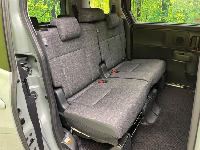 �㕔���Ȃ��C�ɂȂ�悤�ȃL�Y�E�����ւ��蓙�A�傫�ȃ_���[�W�͂Ȃ��A�ǍD�ȏ�Ԃł��B