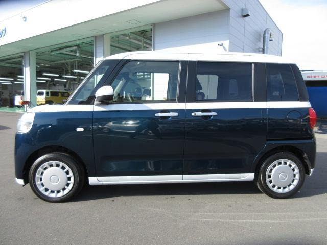 ムーヴキャンバスストライプス X