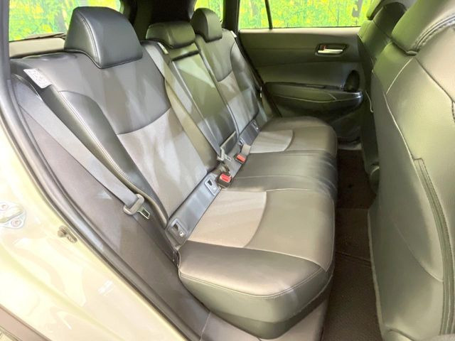 �㕔���Ȃ��C�ɂȂ�悤�ȃL�Y�E�����ւ��蓙�A�傫�ȃ_���[�W�͂Ȃ��A�ǍD�ȏ�Ԃł��B