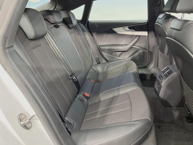 ���㕔���Ȃ��C�ɂȂ�悤�ȃL�Y�E�����ւ��蓙�A�傫�ȃ_���[�W�͂Ȃ��A�ǍD�ȏ�Ԃł��B