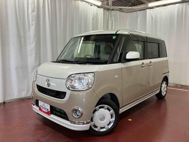 ムーヴキャンバスG メイクアップ SAII