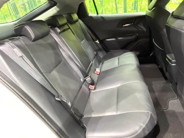 �㕔���Ȃ��C�ɂȂ�悤�ȃL�Y�E�����ւ��蓙�A�傫�ȃ_���[�W�͂Ȃ��A�ǍD�ȏ�Ԃł��B