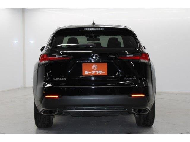 ���Ǝҗl�ւ̔̔��͂��f�肳���Ă��������܂��B �Ԍ������ԗ��̏ꍇ�́A�Ԍ����擾�������x�������z�ŕ\�����Ă���܂��B