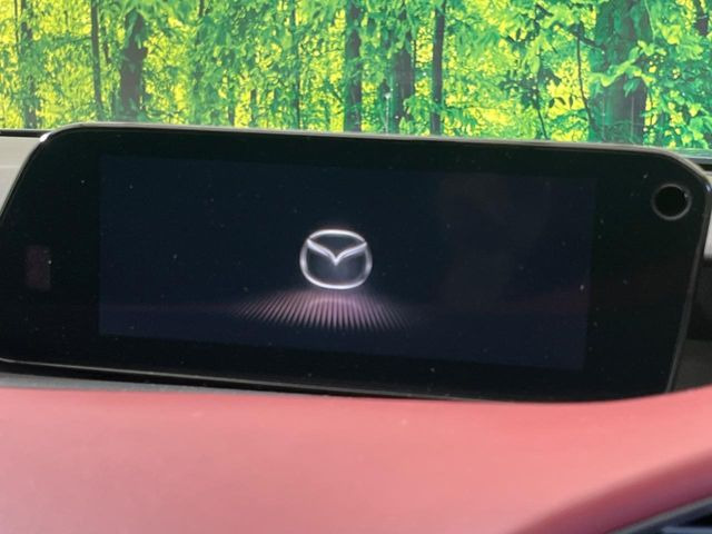 �yBOSE�T�E���h�t���}�c�_�R�l�N�g�i�r�z�[���̃i�r�@�\�͂������A���x�ȃ`���[�j���O�\�͂����ڂ���Ă���A�������ȉ��y�����y���݂��������܂���