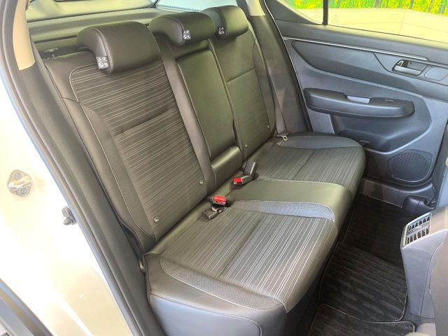 �㕔���Ȃ��C�ɂȂ�悤�ȃL�Y�E�����ւ��蓙�A�傫�ȃ_���[�W�͂Ȃ��A�ǍD�ȏ�Ԃł��B