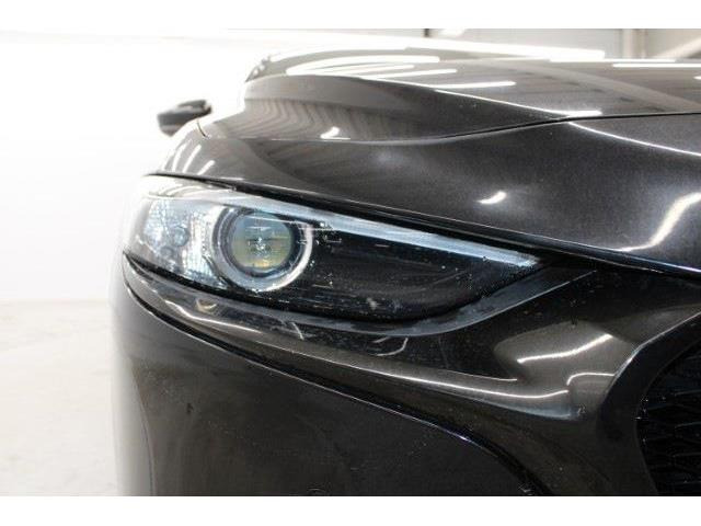 ���Ǝҗl�ւ̔̔��͂��f�肳���Ă��������܂��B �Ԍ������ԗ��̏ꍇ�́A�Ԍ����擾�������x�������z�ŕ\�����Ă���܂��B